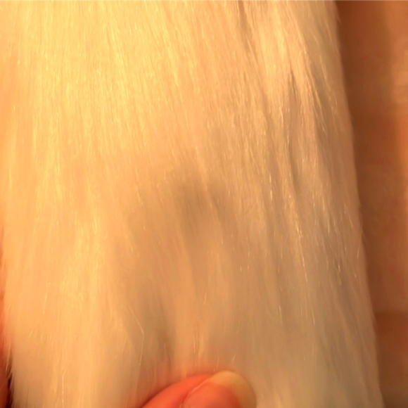 COSTUME White Faux Fur Cat Animal Tail To Be Worn on Belt 🐾🤍 - Picture 2 of 5